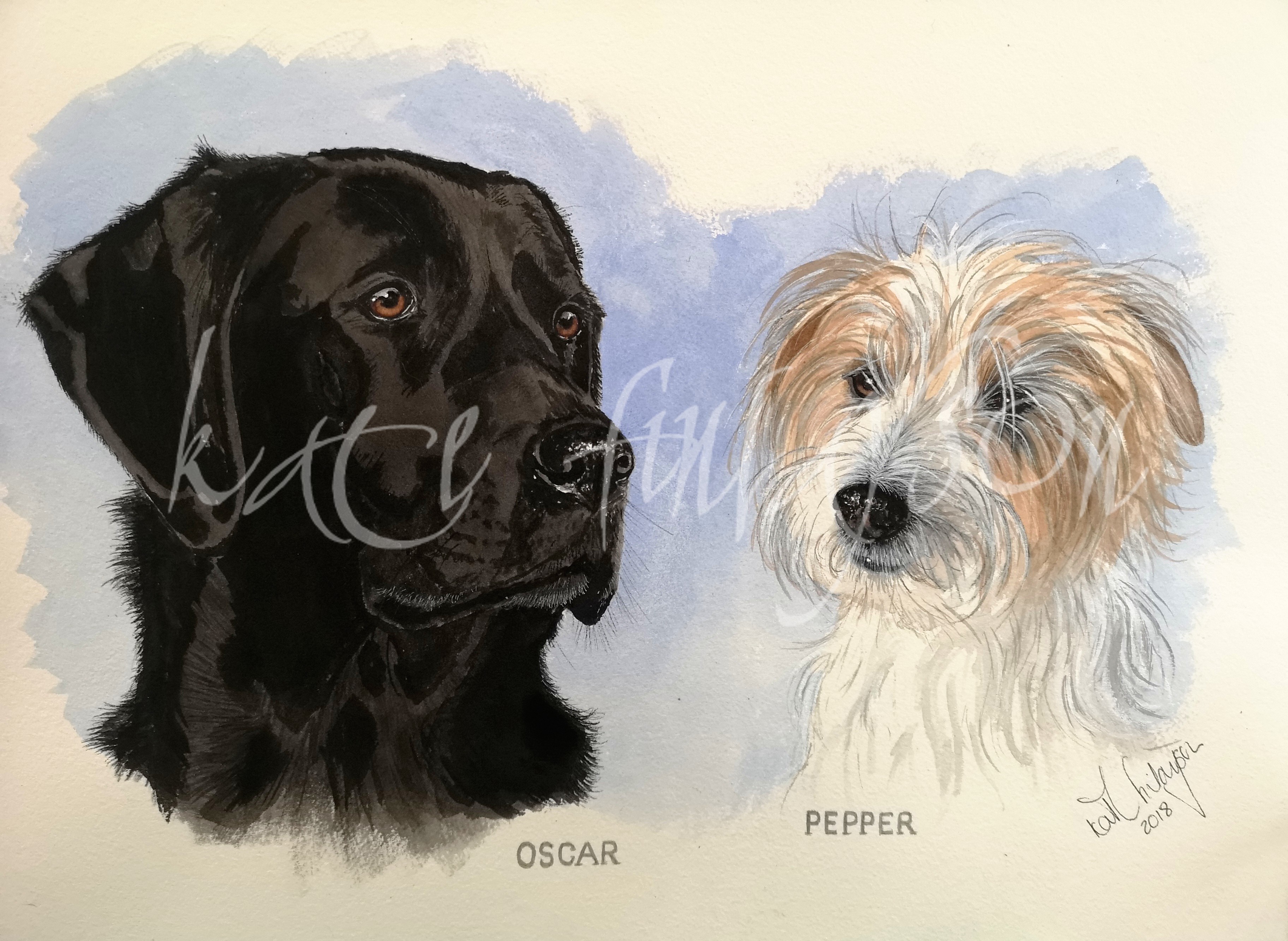 Portrait of a dog by Kate Finlayson