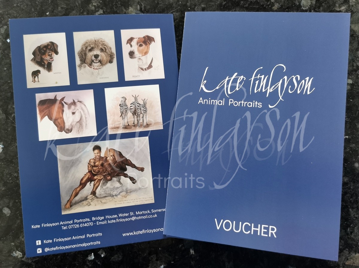 Animal portrait Vouchers