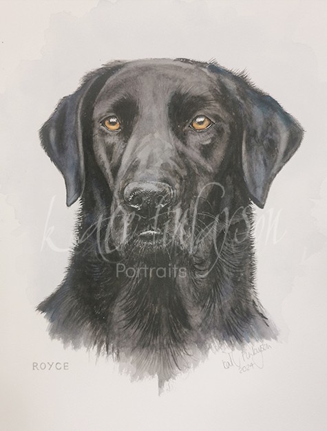 Portrait of a dog by Kate Finlayson